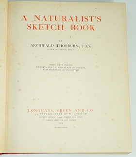 Thorburn, Archibald - A Naturalist’s Sketch Book. First Edition. 60 coloured plates (with guards); gilt cloth & gilt top, 4to. 1919